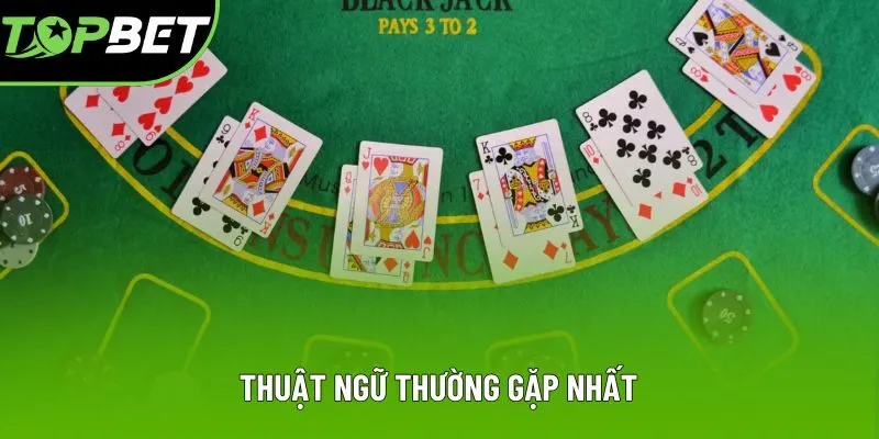 Thuật ngữ thường gặp nhất Thuật ngữ thường gặp nhất