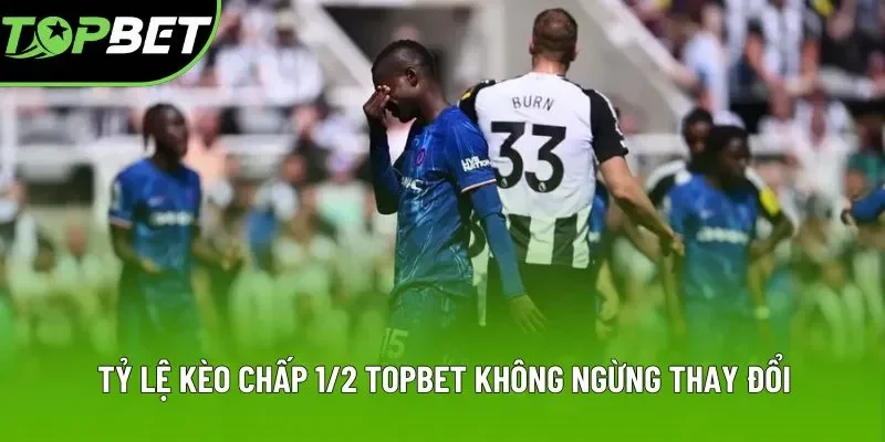 Tỷ lệ kèo chấp 1/2 Topbet không ngừng thay đổi Tỷ lệ kèo chấp 1/2 Topbet không ngừng thay đổi
