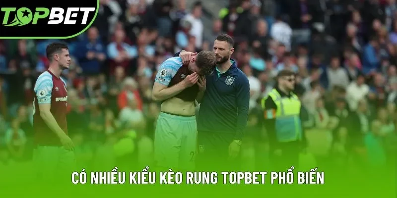 Có nhiều kiểu kèo rung Topbet phổ biến Có nhiều kiểu kèo rung Topbet phổ biến