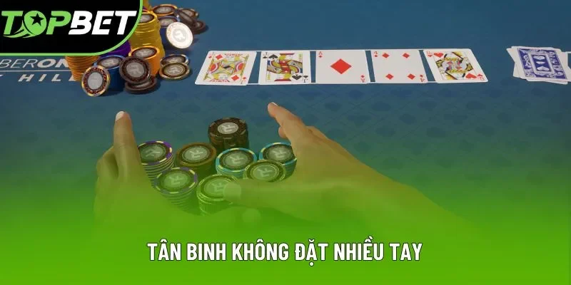 Tân binh không đặt nhiều tay