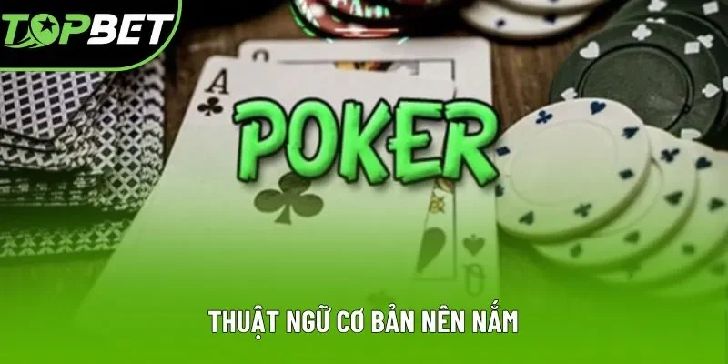 Thuật ngữ cơ bản nên nắm