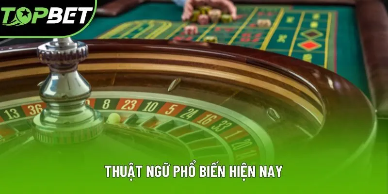 Thuật ngữ phổ biến hiện nay