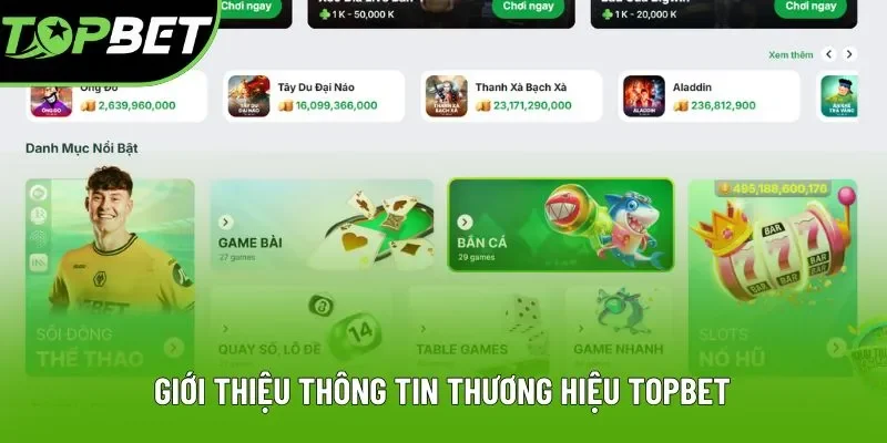 Giới thiệu thông tin và tính pháp lý tại thương hiệu Topbet Giới thiệu thông tin và tính pháp lý tại thương hiệu Topbet